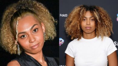 All About Phoenix Chi Gulzar| The Story Of Mel B’s Eldest Daughter