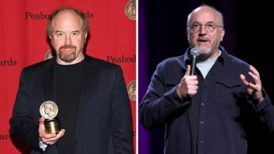 Who Is Alix Bailey? The Full Story Of Louis C.K.’s Ex Wife