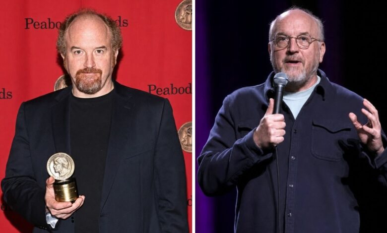 Who Is Alix Bailey? The Full Story Of Louis C.K.’s Ex Wife