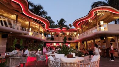 Dubki Menu: Food, Prices, Views, and Dining Experience in Goa